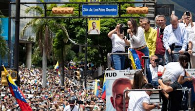 Venezuela necesita de tu apoyo - El Diario NY