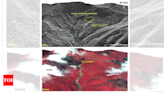 Wayanad: Satellite images show debris travelled 8km, damage extent 86,000-sqm; earlier landslide at the same spot seen | India News - Times of India