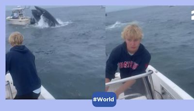 Watch: Angry Humpback whale capsizes boat off New Hampshire coast with sailors on board