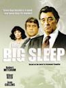 The Big Sleep