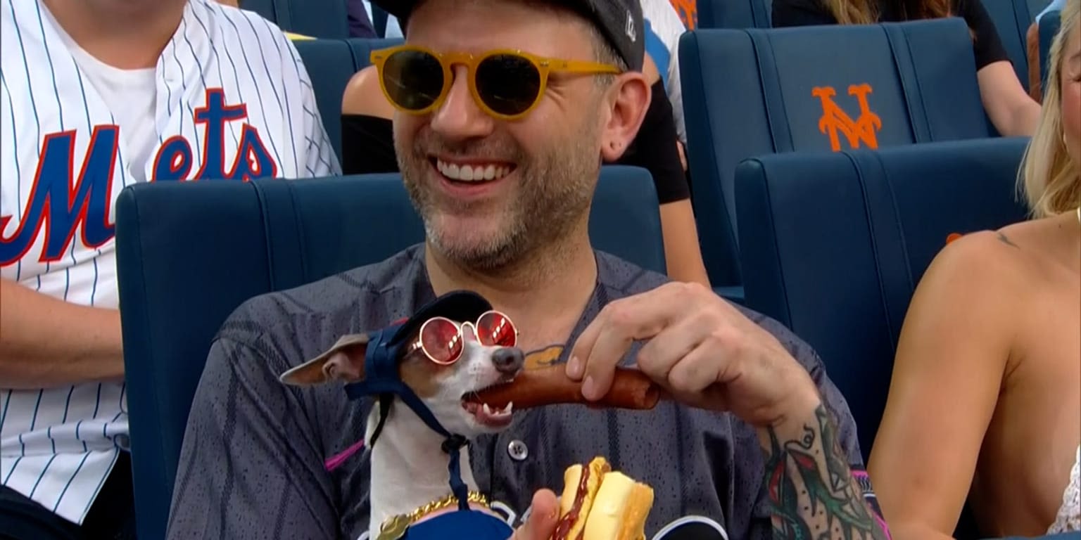 Pup chows down on dog at Mets game (you gotta see it)