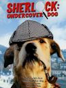 Sherlock: Undercover Dog