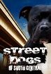 Watch Street Dogs of South Central (2013) - Free Movies | Tubi