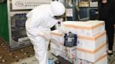 港府抽查日本進口水產 輻射水平暫無發現超標