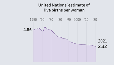 Suddenly There Aren’t Enough Babies. The Whole World Is Alarmed.