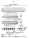 Complement fixation test