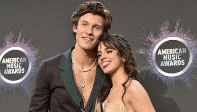 Camila Cabello and Shawn Mendes Sat Together at the Copa America Final