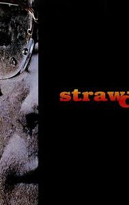 Straw Dogs (1971 film)