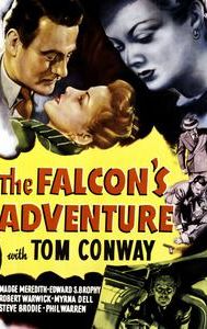 The Falcon's Adventure