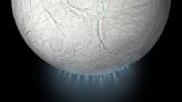 Finding life on Saturn's moon Enceladus might be easier than we thought