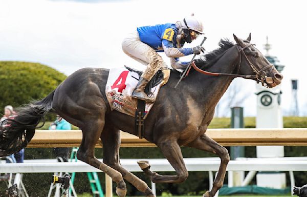 2024 Belmont Stakes horses, futures, odds, date: Expert who nailed 4 of 6 winners gives out picks, predictions