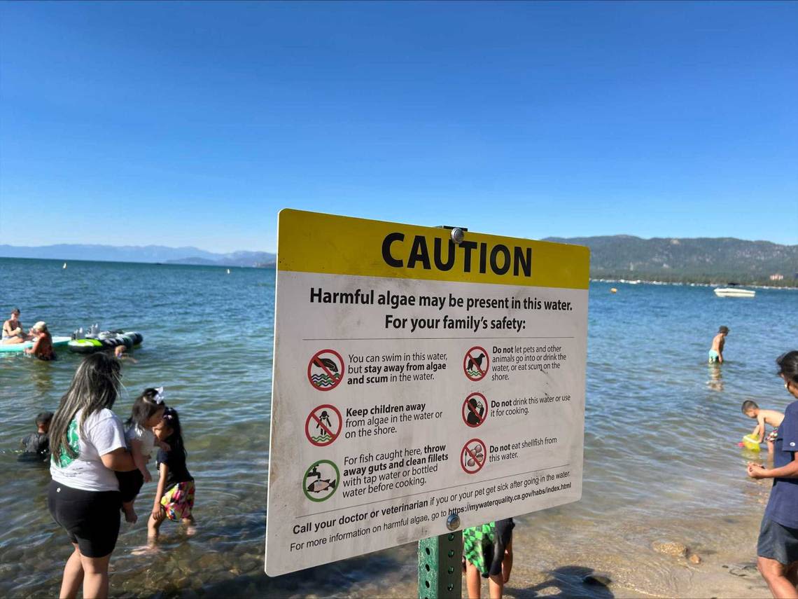 Lake Tahoe beaches tested for toxic blue-green algae bloom. Here’s how to spot it