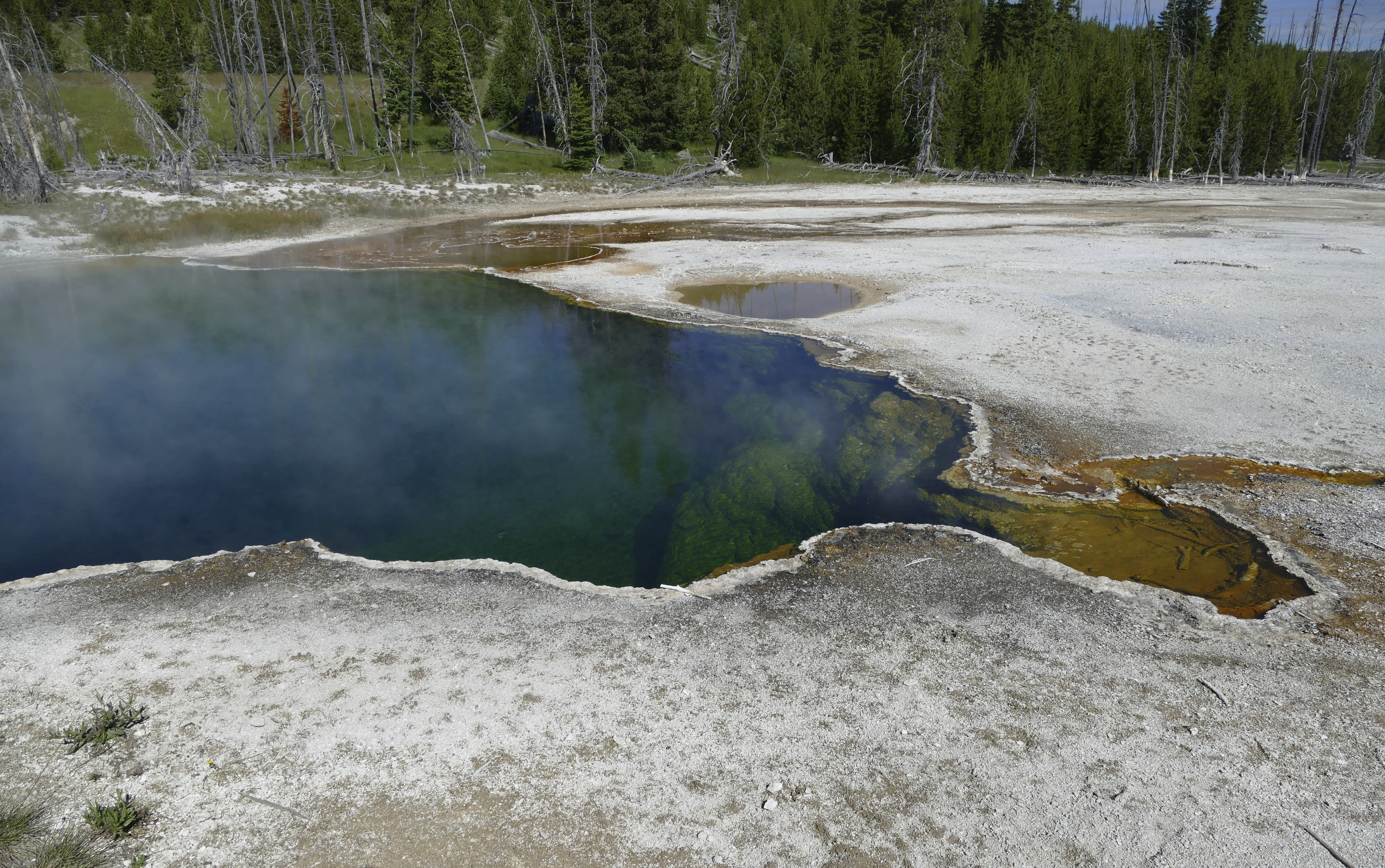 Yellowstone visitor scalded in thermal pool hot enough to burn people to death. She broke the Pledge