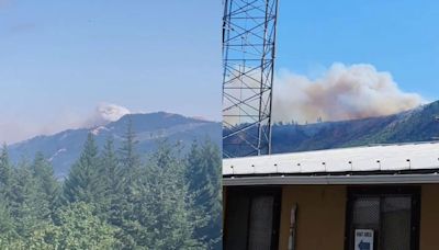 'Evolving quickly': Fire near Mosier in Wasco County prompts Level 3 'GO NOW' evacuations