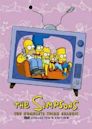 The Simpsons season 3