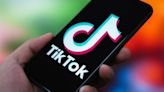 TikTok launches $1 million social impact program