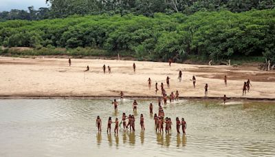 Amazon indigenous tribe uses bows and arrows to attack loggers