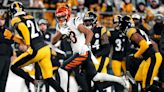 Pittsburgh Steelers fans want free agent Tyler Boyd to replace Diontae Johnson at receiver