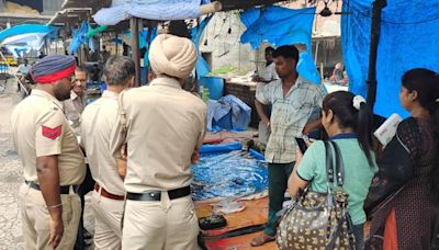 33 quintals of banned Mangur fish seized from Ludhiana markets