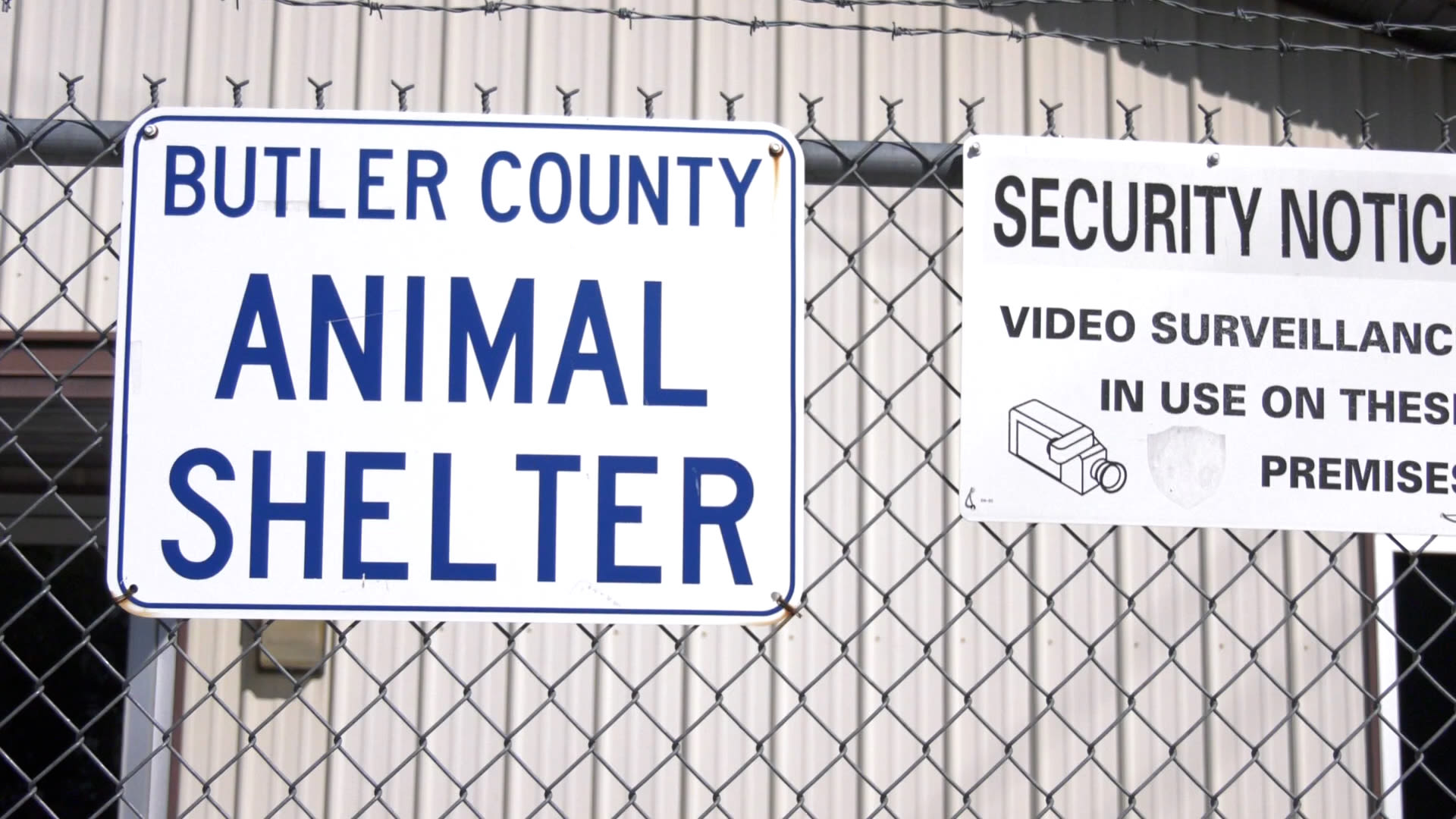 Microchip clinic to be hosted by Butler County Animal Shelter on Monday - WNKY News 40 Television