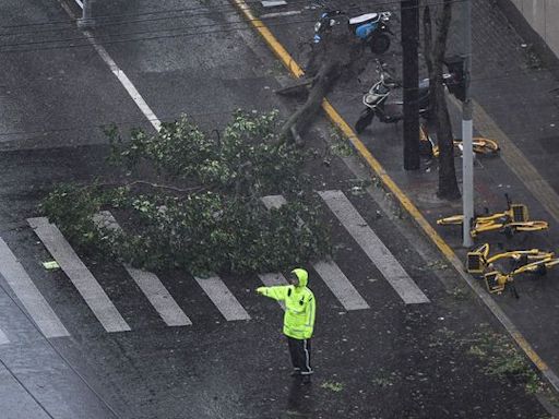 Typhoon Bebinca lands in Shanghai, strongest storm to hit the city since 1949