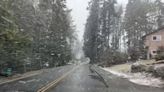 Western Washington lowlands see snow with more on the way