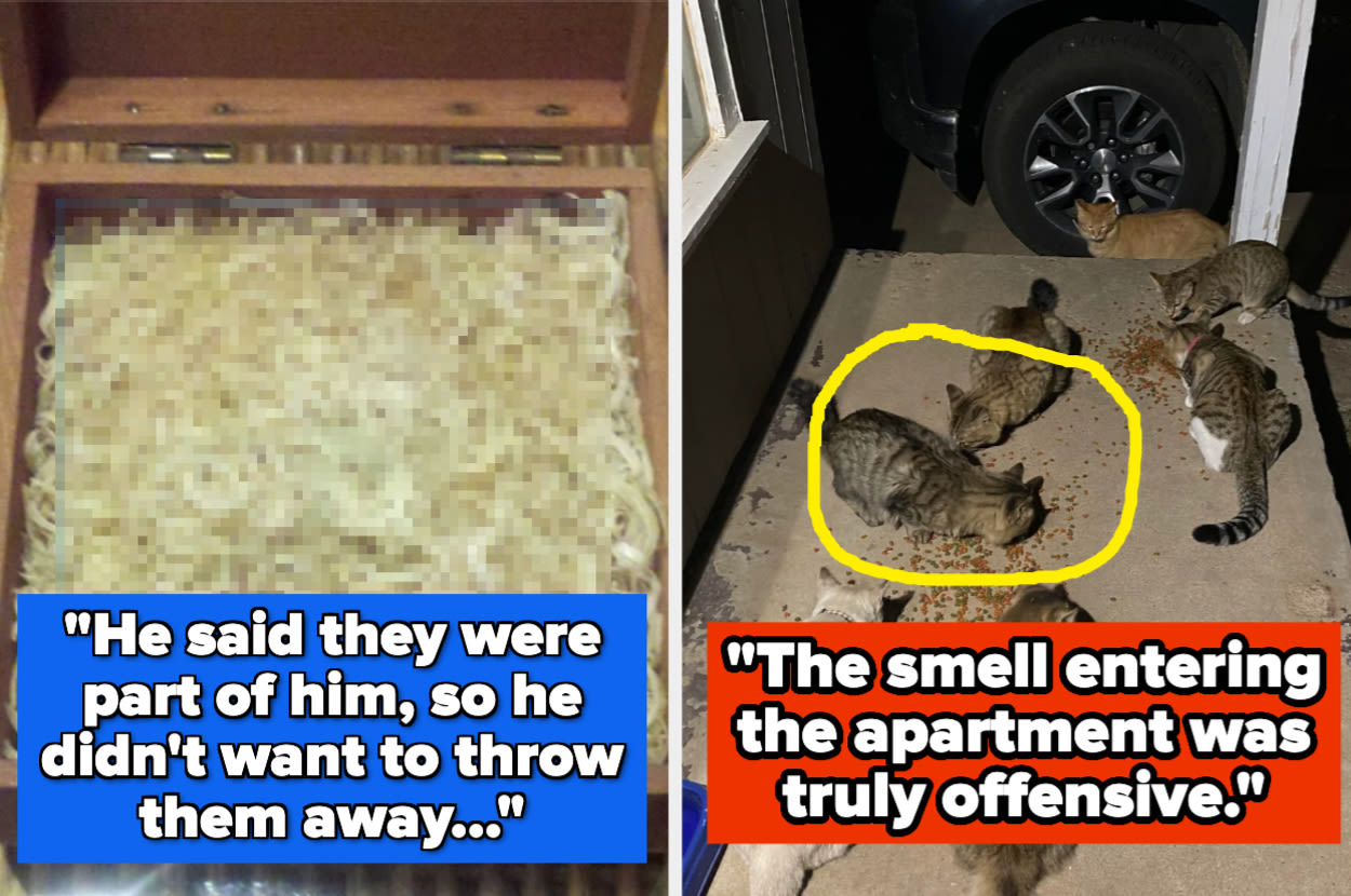 People Are Sharing The Most Bizarre And Questionable Things They Found In Other People's Homes, And It All Feels Like...