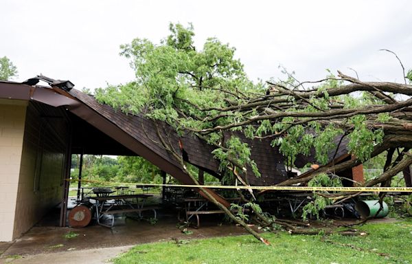 2-year-old killed in Livonia tornado was sleeping with mom when tree fell on their house