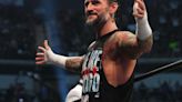 Retiran a CM Punk del juego de lucha libre AEW: Fight Forever