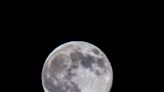 Bright moon illuminates snowy Pocono landscape, near dazzling bright stars | Looking Up