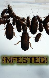 Infested!