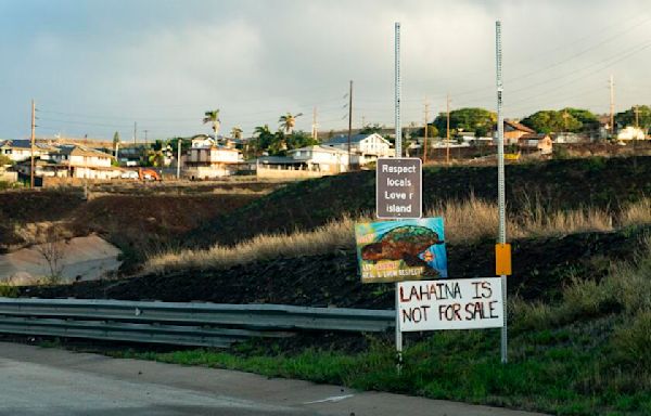 Maui looks to cut back on Airbnbs for tourists as early as next summer