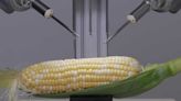 WATCH: Sony microsurgery robot operates on a kernel of corn to preview the future of medicine