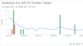 Director Katherine Fleming Acquires 7,330 Shares of AudioEye Inc (AEYE)