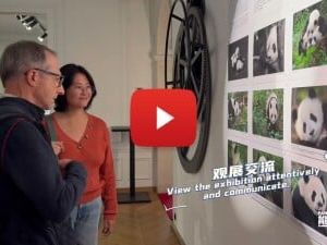 “Panda’s World” Photography Exhibition of Giant Pandas Grandly Opens in Paris, France - Media OutReach Newswire