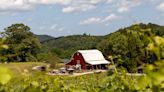 North Georgia winery takes home top honors in historic wine competition