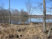 Great Swamp National Wildlife Refuge