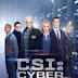 CSI: Cyber