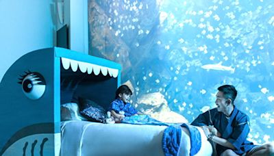 Blu Night星級海洋眠旅 推出「宿High夏日Fun」
