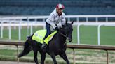 Mandarin Hero jockey, trainer and owner: What to know about Kentucky Derby 2023 horse