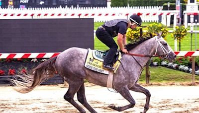 Seize the Grey 'Very Professional' in First Breeze Back