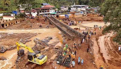 'Elephants to the rescue': Wayanad survivor's moving tale of how elephants saved her family