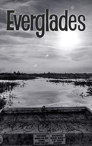 The Everglades