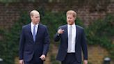 Prince Harry "Should Have Been Prince William's Wingman," Has Become His "Hitman" Instead, Royal Expert Says