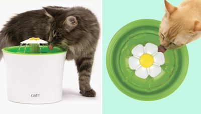 Amazon Pet Day deal: Save 41% on the Catit Flower fountain that's great for cats