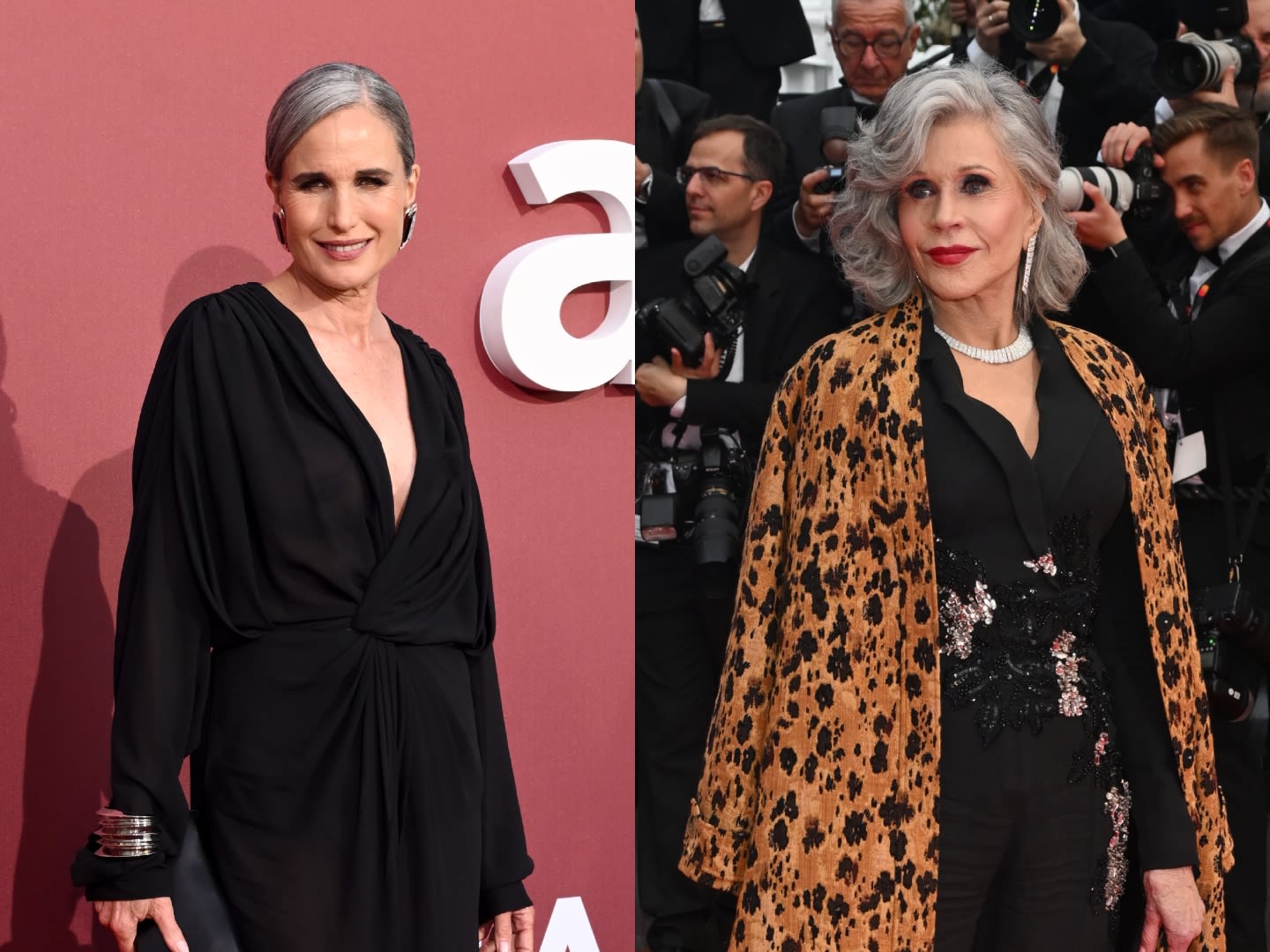 Celebrity Women With Gorgeous Gray Hair on the Red Carpet: Photos