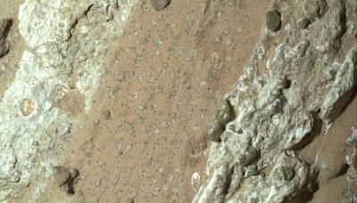 NASA discovers first 'possible' signs of ancient life on Mars