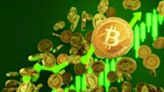 Alemania evalúa Bitcoin como moneda oficial por iniciativa de Joana Cotar