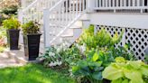 35 Best Landscaping Plants to Choose for Your Home That Will Bloom for Years