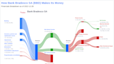 Bank Bradesco SA's Dividend Analysis